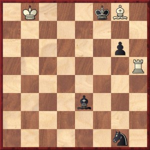 Les blancs jouent et font nulle